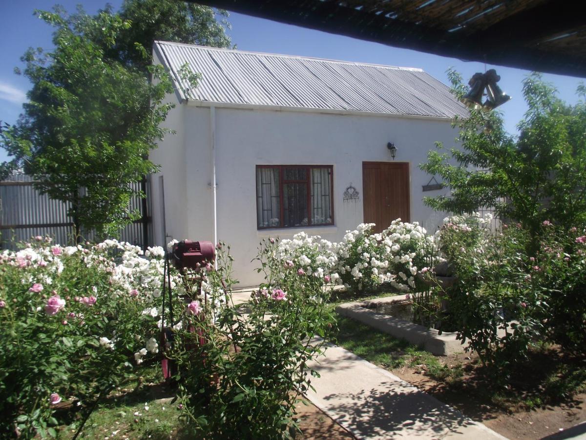 Lavender Rose Bed and Breakfast Bethulie Eksteriør billede