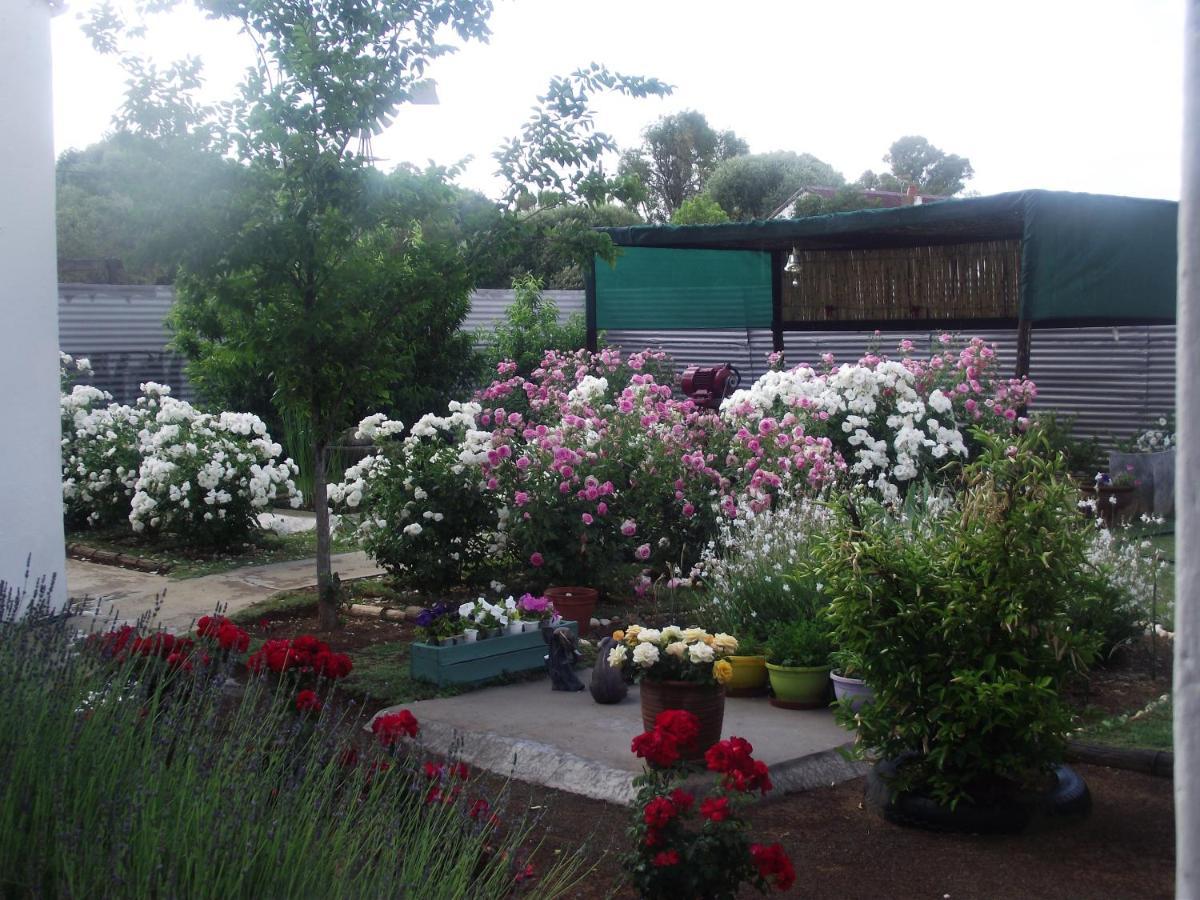 Lavender Rose Bed and Breakfast Bethulie Eksteriør billede