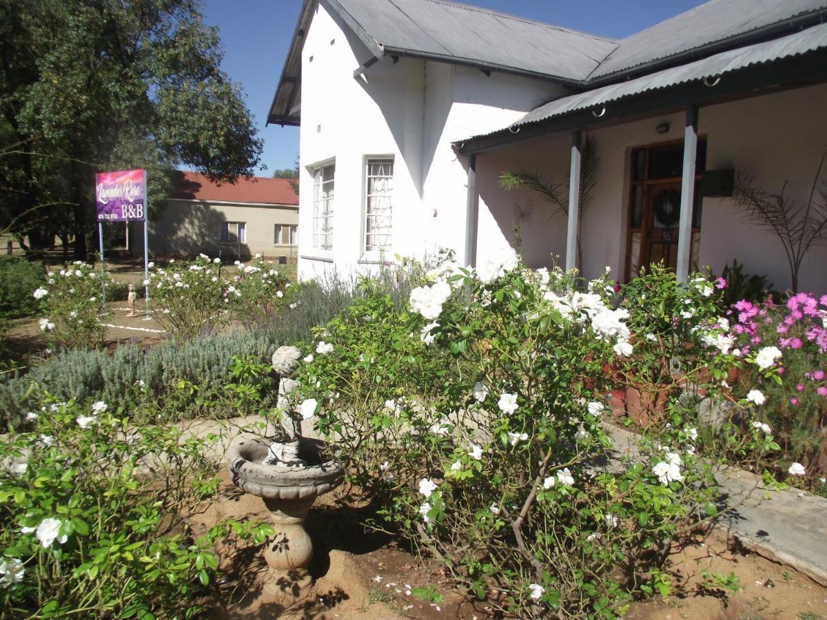 Lavender Rose Bed and Breakfast Bethulie Eksteriør billede