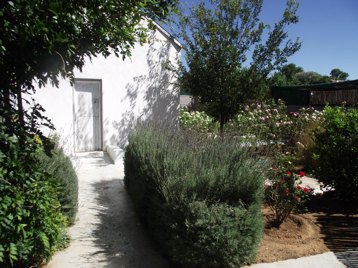 Lavender Rose Bed and Breakfast Bethulie Eksteriør billede